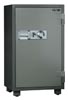 DS-100